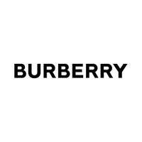 Burberry Limited Company Profile 